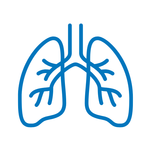 1746008591_6811fa0f4e558