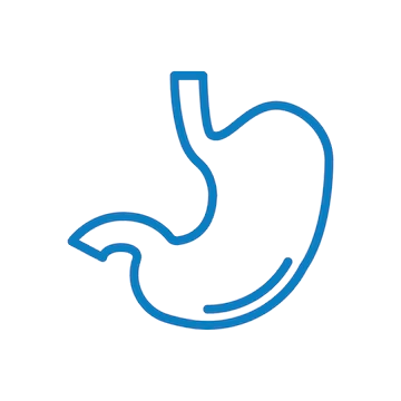 stomach-icon-design-vector-template_1146812-4354